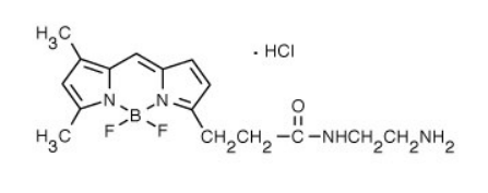 BODIPY FL EDA.png BODIPY FL EDA.png