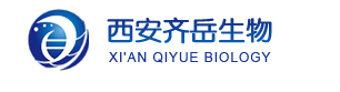 1650941195880765.png image.png