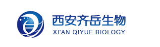 1650941589173464.png image.png