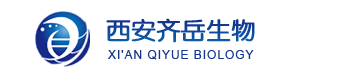 1650942488242064.png image.png