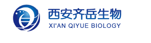 1650944506802265.png image.png