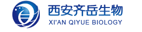 1650947634647599.png image.png
