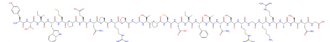 FITC荧光标记RVG-derived peptide