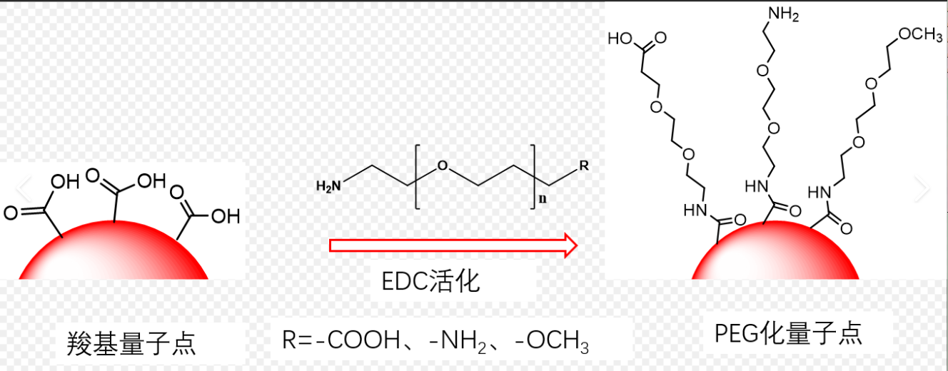 NH2-PEG修饰CdSe/ZnS量子点