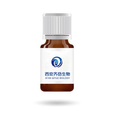 卟啉-脂质体化合物P-GlyL