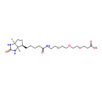 Biotin-PEG3-acid 