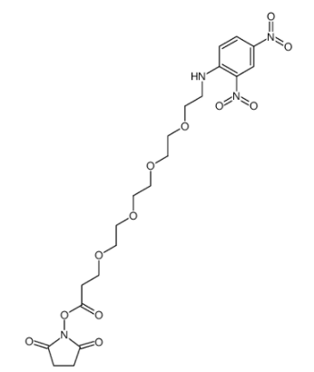 DNP-PEG4-NHS ester 