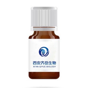 DSPE-PEG6-propargyl