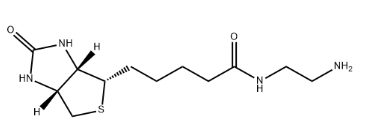 Biotin-EA