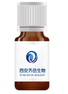 PEG修饰磁性纳米颗粒的制备与合成（PEGylated Magnetic Nanoparticles）介绍