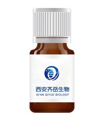 Dispersin B-DOPG 脂质复合系统（*菌酶-脂质体平台）