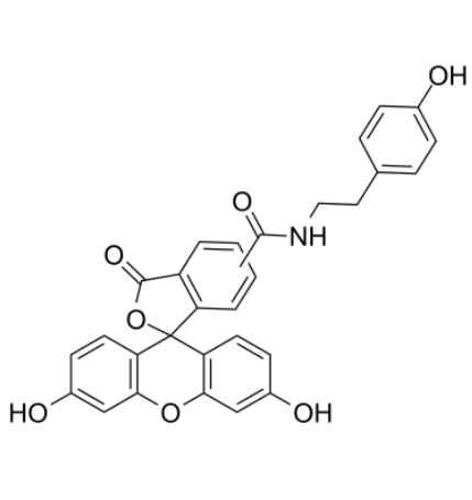 Fluorescein tyramide Fluorescein tyramide