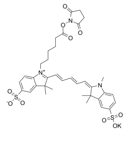 磺基花青5 NHS酯 磺基花青5 NHS酯