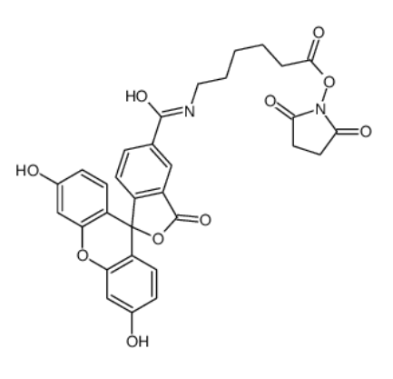 5-FAM-X NHS ester 