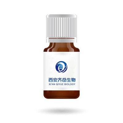 靶向叶酸水凝胶载体