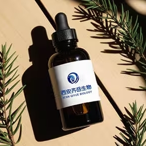 兼具pH敏感和电荷翻转能力的纳米粒子