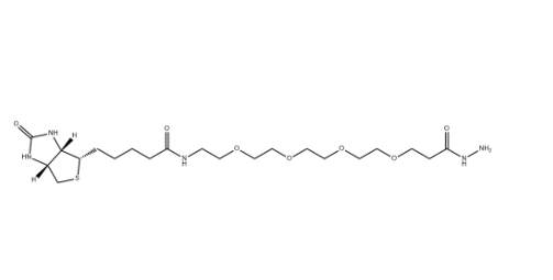 Biotin-PEG4-hydrazide