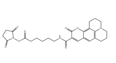 AF 343(Coumarin)X NHS ester AF 343(Coumarin)X NHS ester