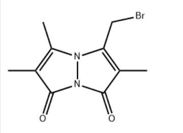 Monobromobimane (mBBr)