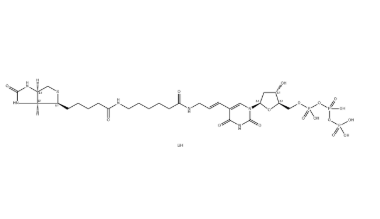 Biotin-11-dUTP