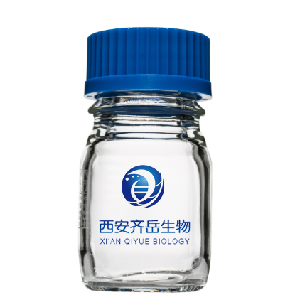 UCNP@Thalidomide，核酸适配体修饰负载药物沙利度胺的上转换纳米粒