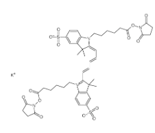 Sulfo-Cy5 bis-SE