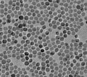 羧基化四氧化三铁 羧基化四氧化三铁