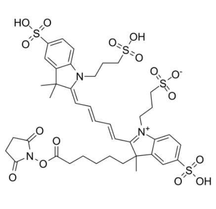 AF647-NHS ester 