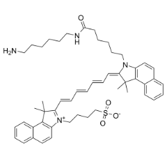ICG-NH2