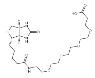 生物素-PEG24-酸