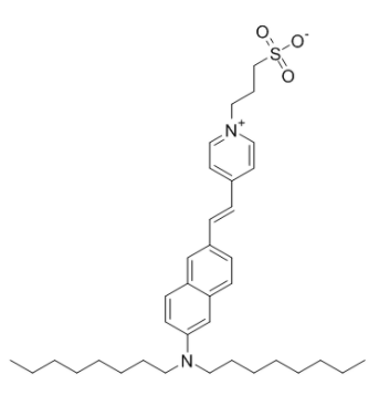 Di-8-ANEPPS  