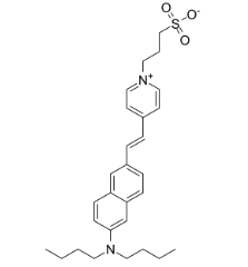Di-4-ANEPPS