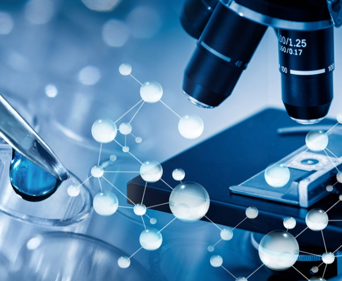 Phalloidin, DyLight 554,鬼笔环肽-DyLight 554的定制合成技术