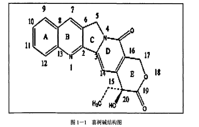聚轮烷—喜树碱偶联物（PR-CPT前体）给药系统的定制合成-西安杏彩体育平台
生物提供