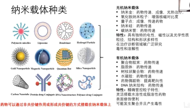 ​核苷类前药定制合成技术--杏彩体育平台
生物科普