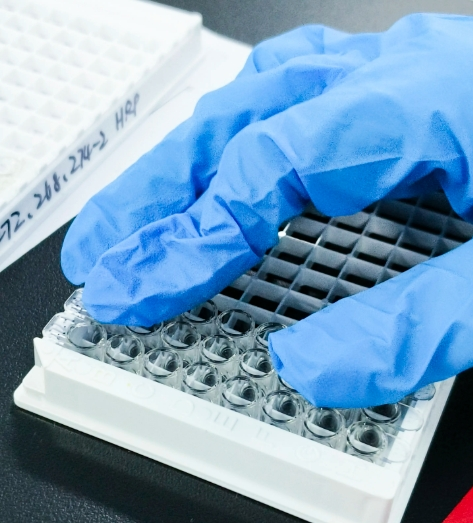 基于PROTAC药物设计合成技术-西安杏彩体育平台
生物