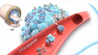新型替加氟前体脂质体（Tegafur）定制合成技术-西安杏彩体育平台
生物