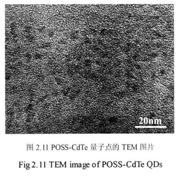 OM-POSS修饰的高生物相容性碲化镉荧光量子点(POSS-CdTe QDs)具有良好的光稳定性杏彩体育平台
生物供应