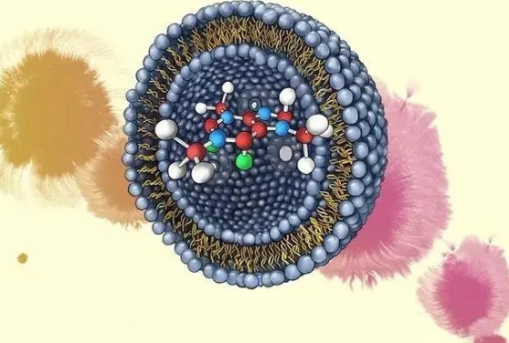 L-Arg(/ICG@Apt-Lip功能化的脂质体-杏彩体育平台
定制    （杏彩体育平台
生物分享）