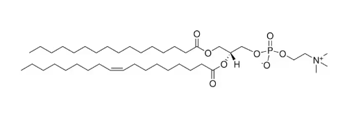 16:0-18:1 PC,CAS:26853-31-6,磷脂酰胆碱(PC)的合成与制备