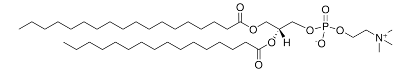 18:0-16:0 PC,CAS:59403-53-1,1-硬脂酸-2-棕榈酰磷脂酰胆碱的实验应用实例