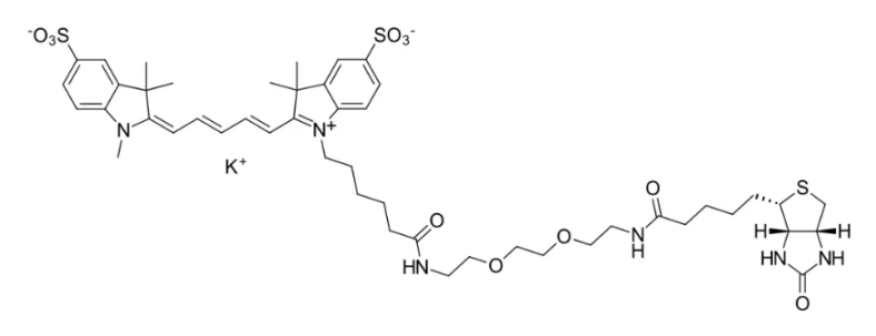 Sulfo-Cyanine5-PEG3-Biotin