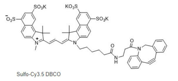 sulfo-Cyanine3.5-DBCO